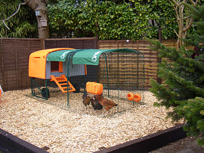 Pin Loft Chicken Coop Rabbit Hutch Cat Pet House W Enclosed Run on 